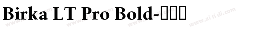 Birka LT Pro Bold字体转换